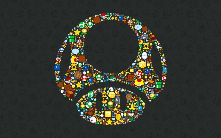 Turtle cover image