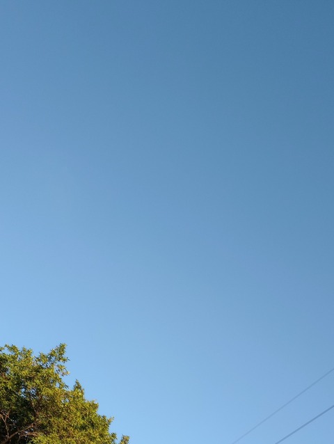 August cover image