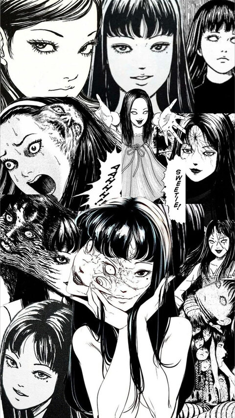 Ivy cover image