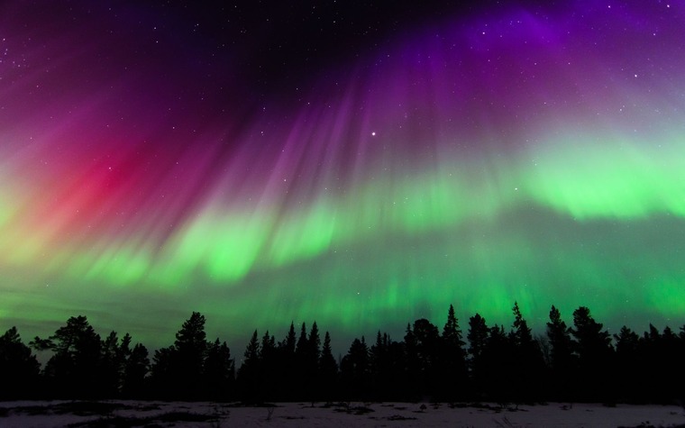 Aurorabr31 banner image