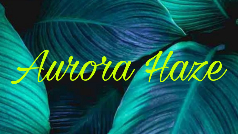 Aurora Haze cover image