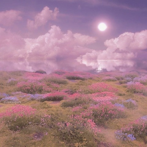 Aurora lee cover image