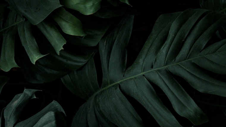 AuroraLennox banner image