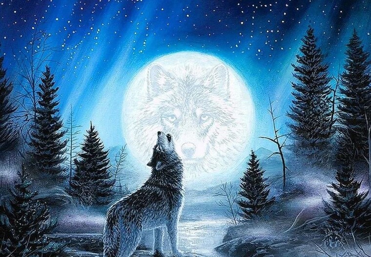 Aurora Nightwolf cover image