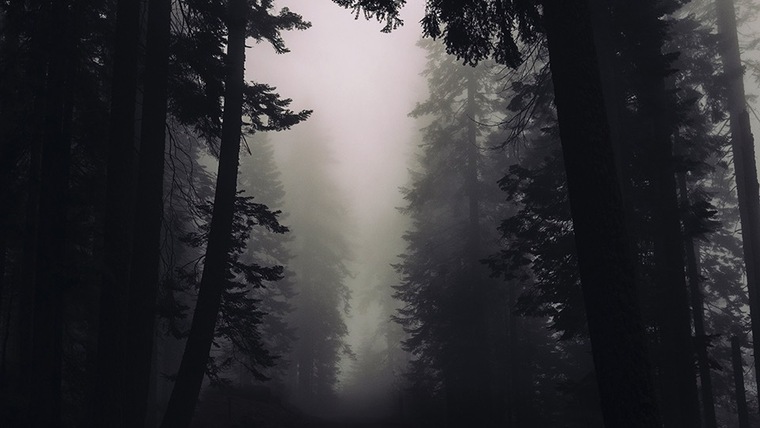 .·:*¨༺ ⛧🖤 𝓐𝓾𝓻𝓸𝓻𝓪 🖤⛧ ༻¨*:·. banner image