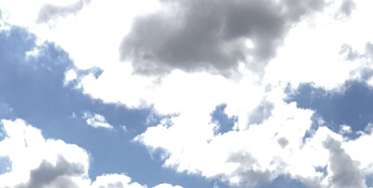 Aussie Fellow banner image