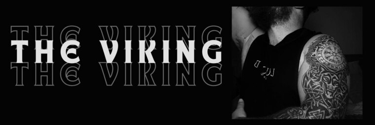 The Kinky Viking cover image