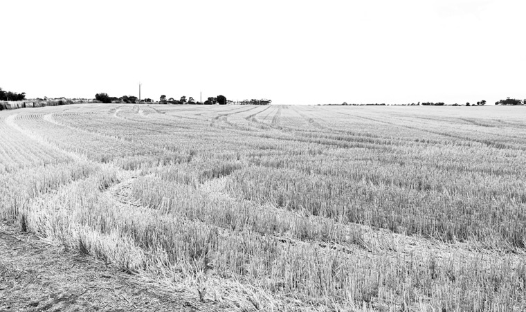 Aussie Country Bloke banner image