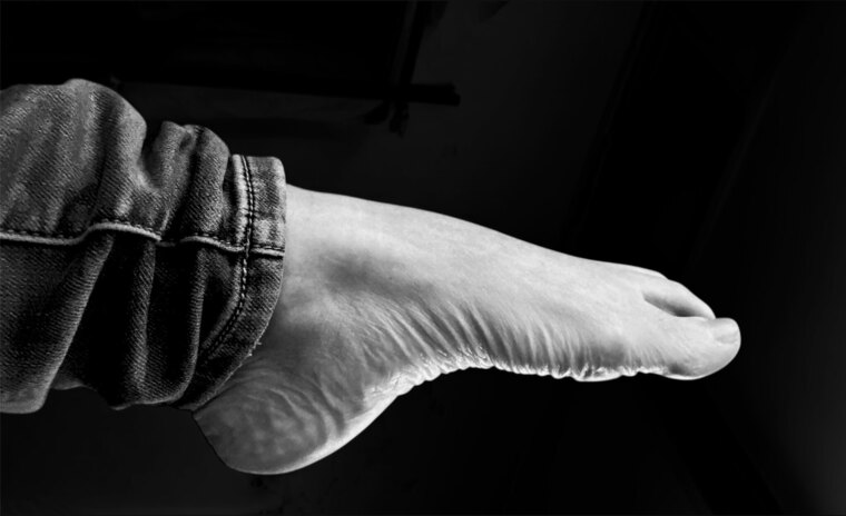 AussieElegantToes cover image