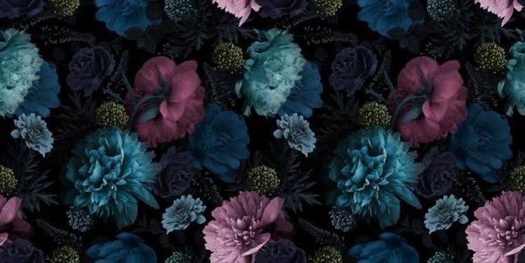Kelly cover image