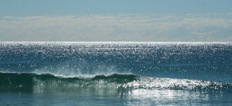 Australian Surfer cover image