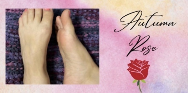 Autumn Rose 🌹 banner image