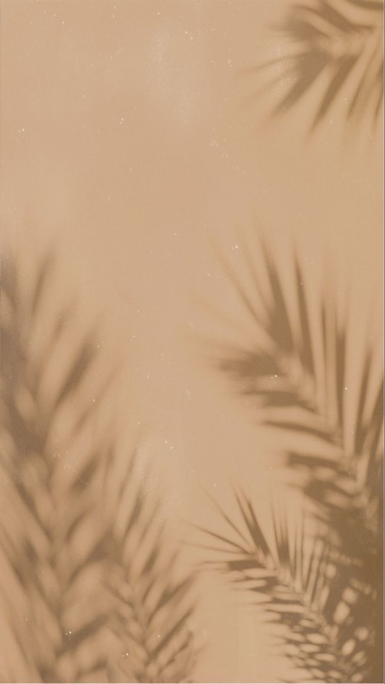 Ava cover image
