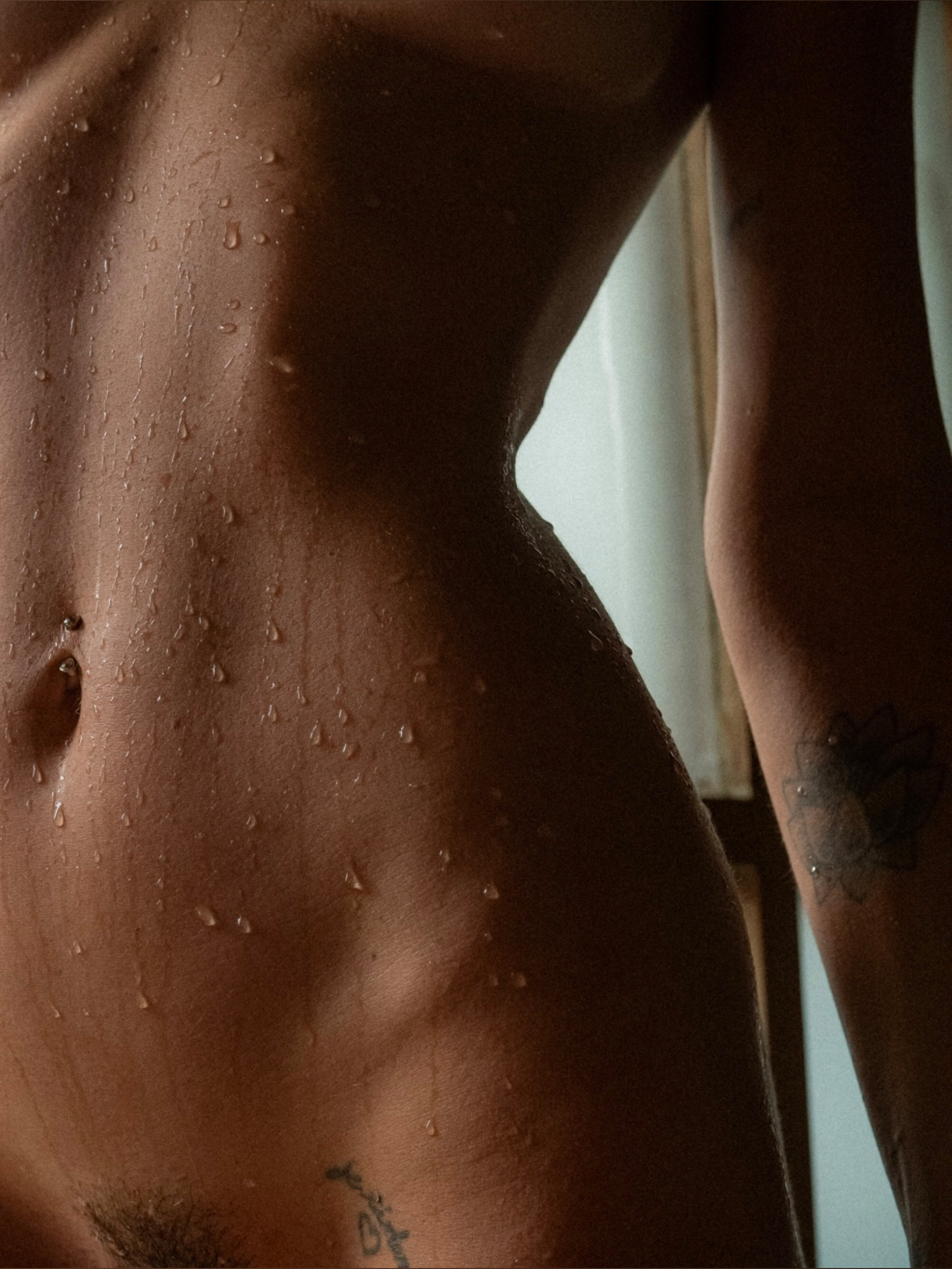ava banner image
