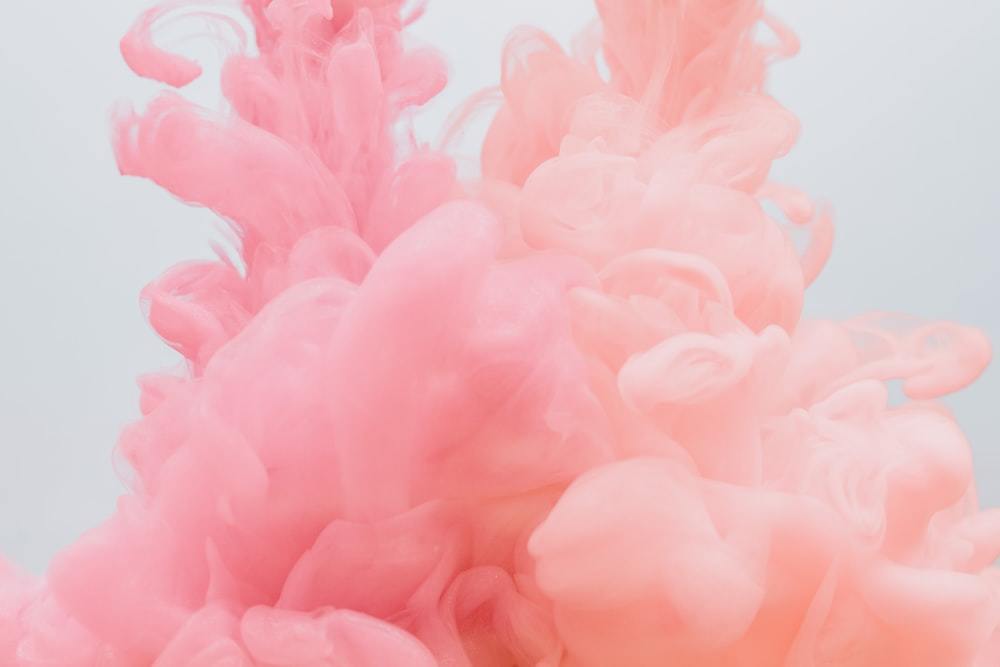 Ava Lynn banner image