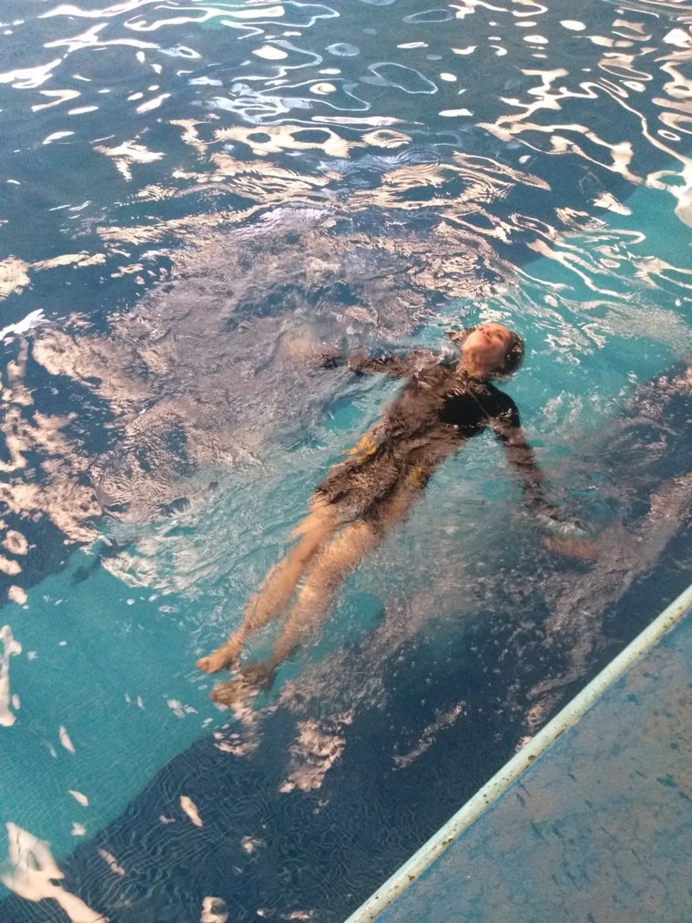 Ave Fénix cover image