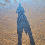 Avery avatar