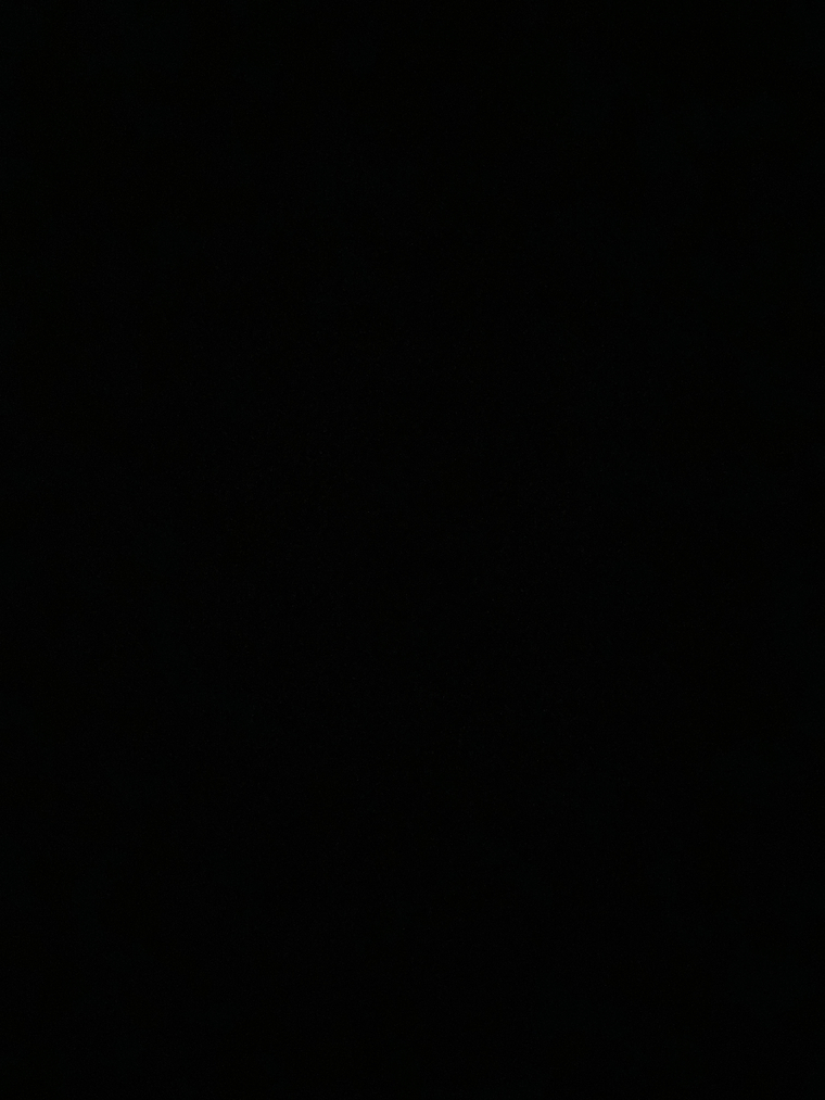 AV'S PARADAISEE banner image