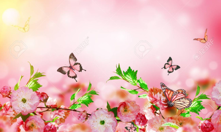 ayedita cover image