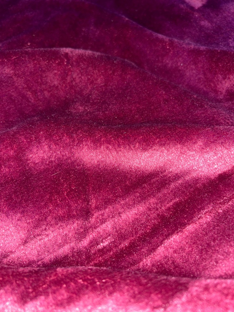 Ayla Pulido banner image