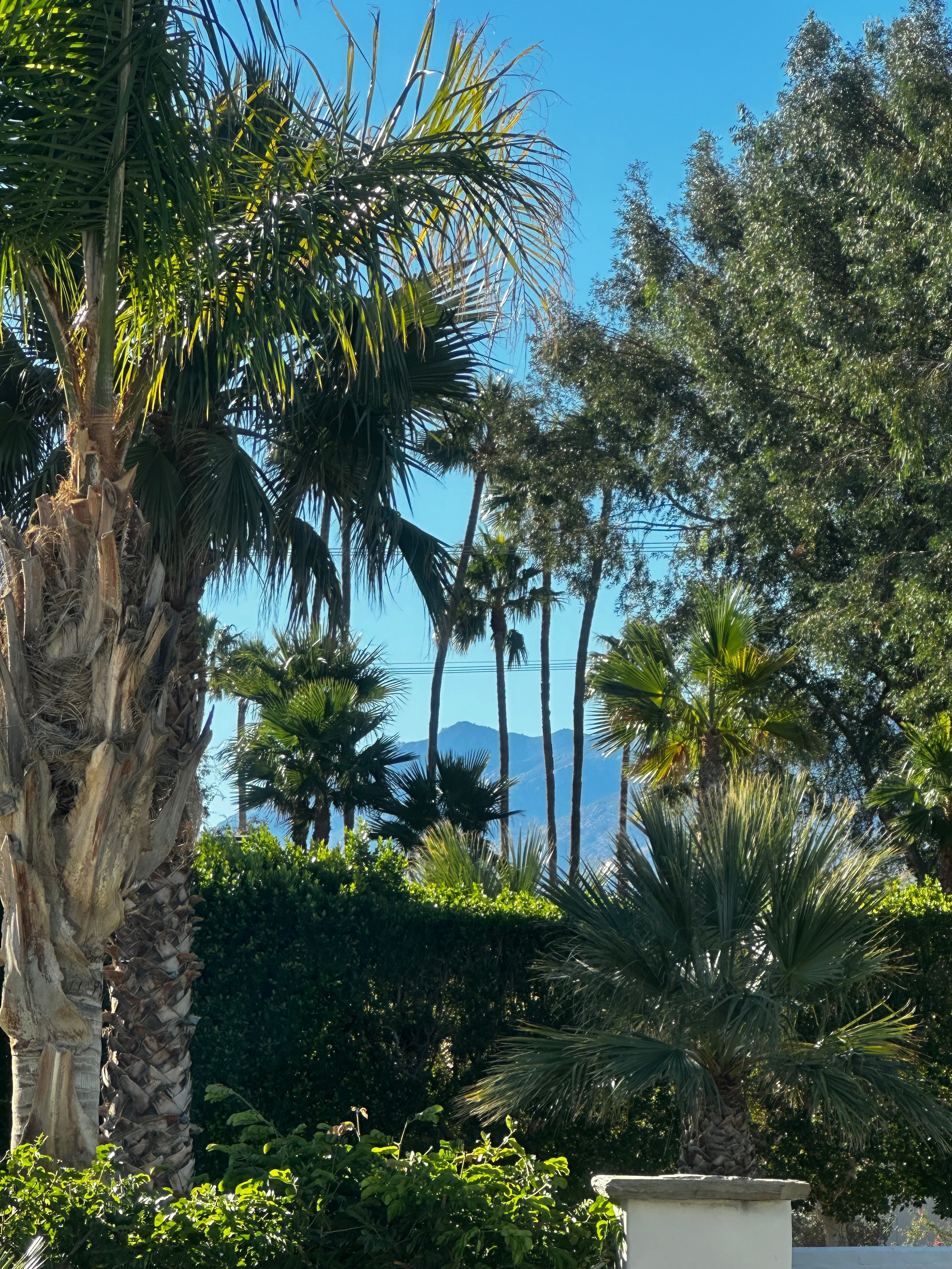Bella Aadams banner image