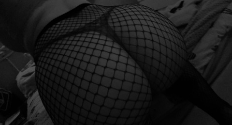 MissCxoxox cover image