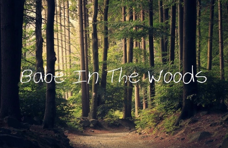 Babe In The Woods banner image