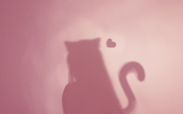 Mika cover image