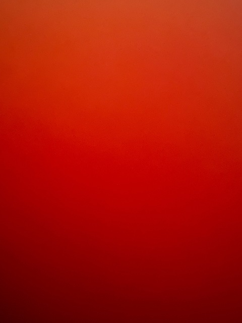 Katie cover image