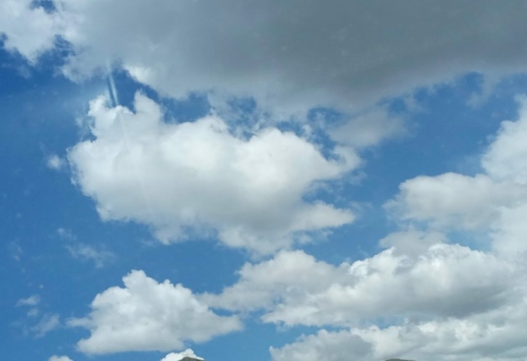 LALY banner image
