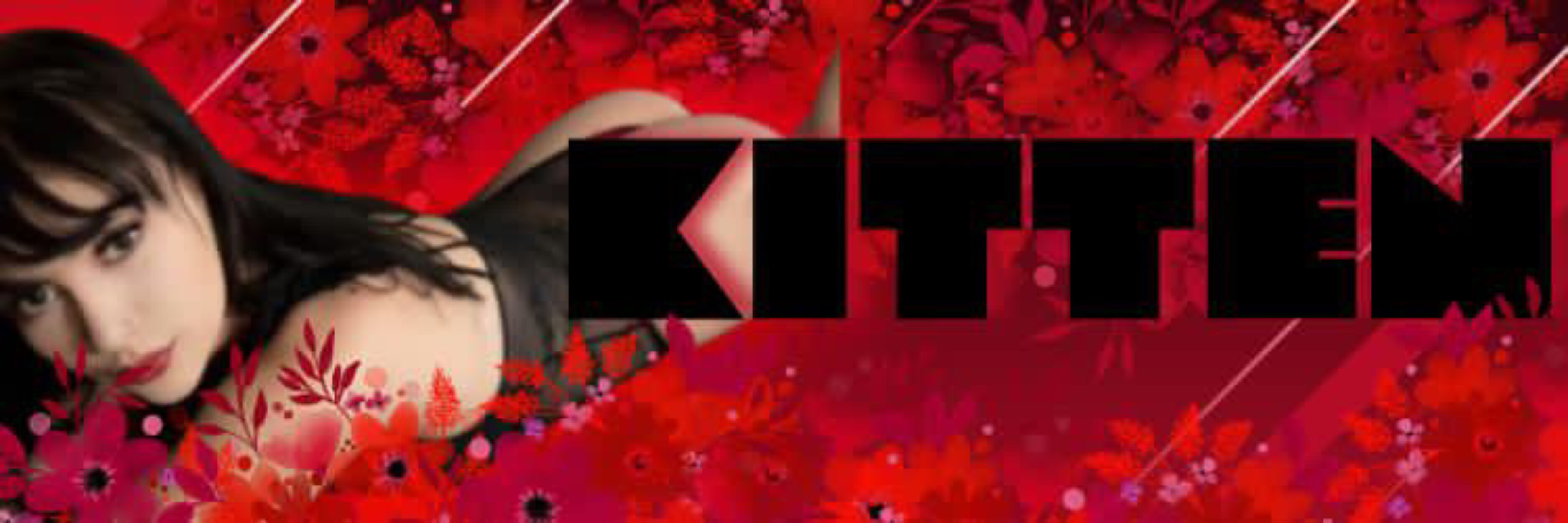Kitten ๐ banner image