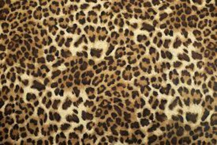 Baby.princess.toes banner image