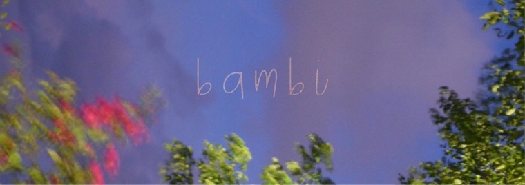 Bambi banner image
