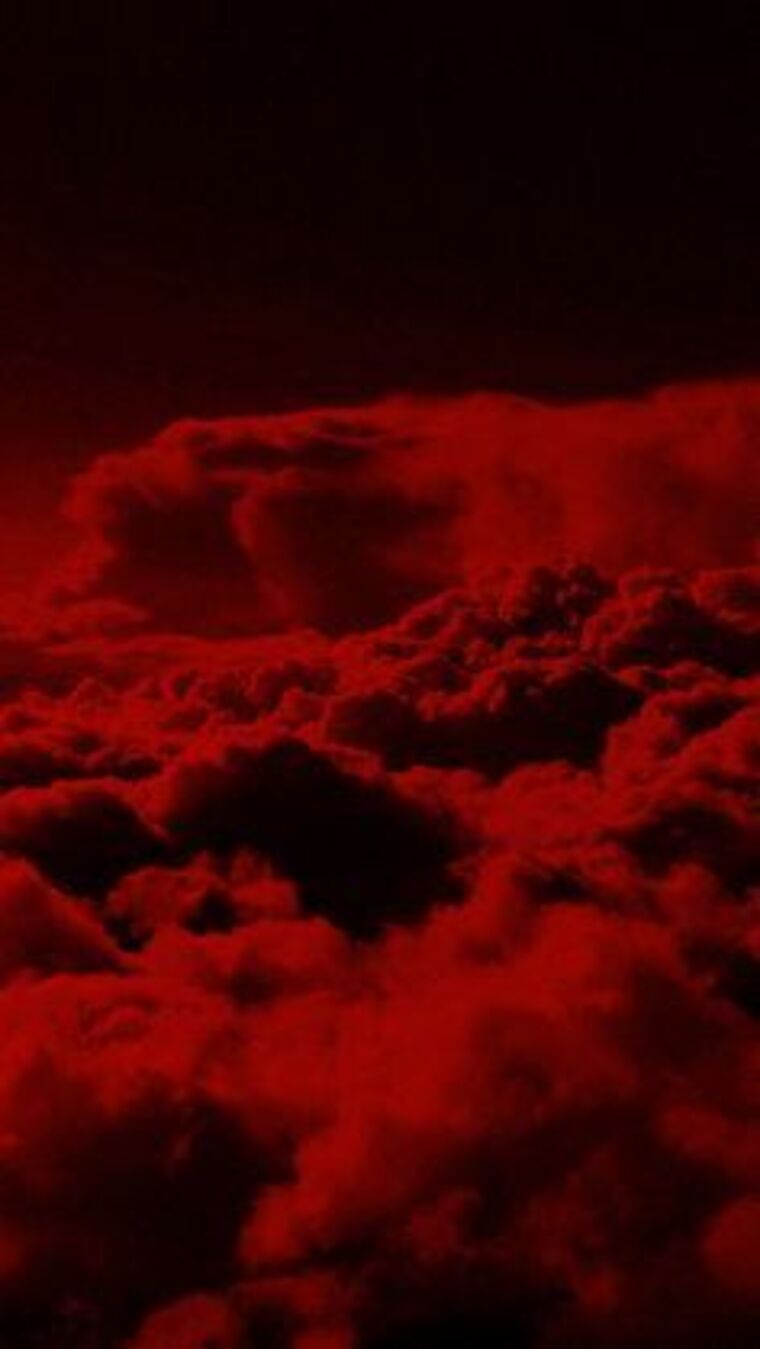 Baby redhead banner image