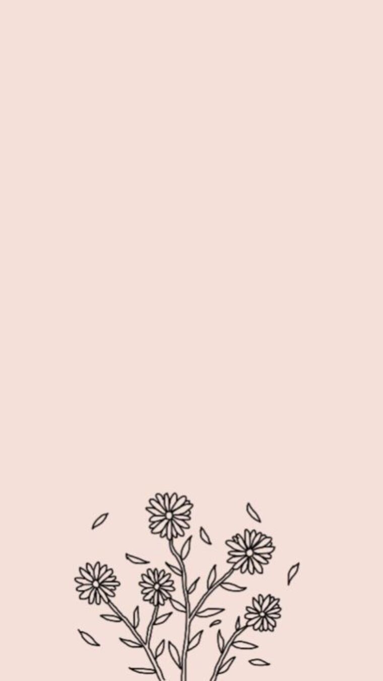 Baby_rose cover image