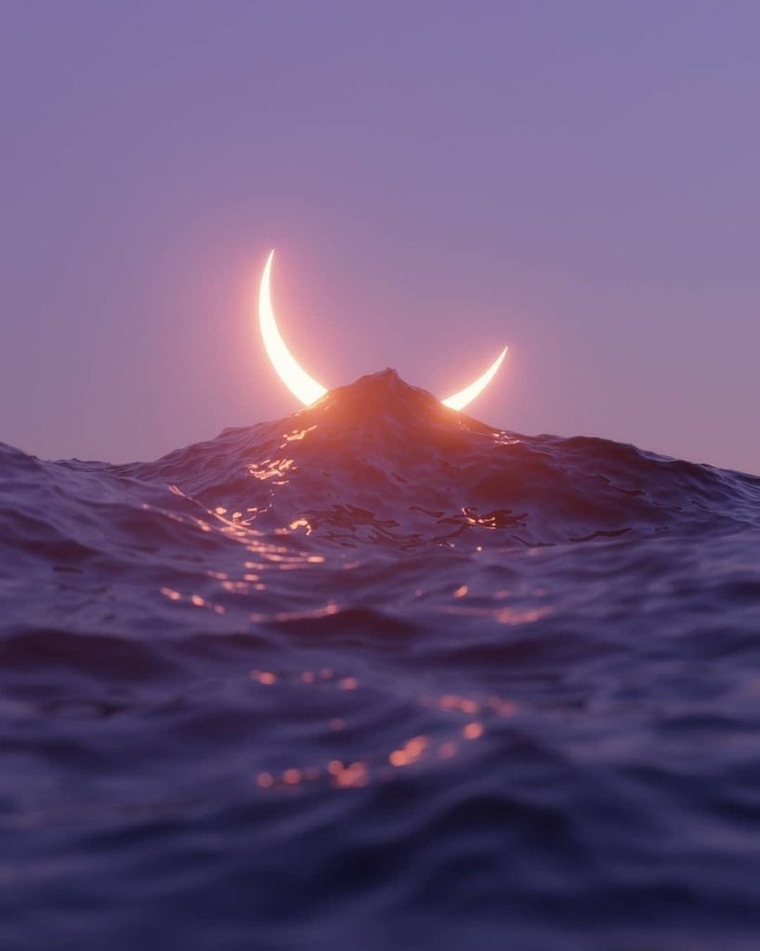Aleee banner image