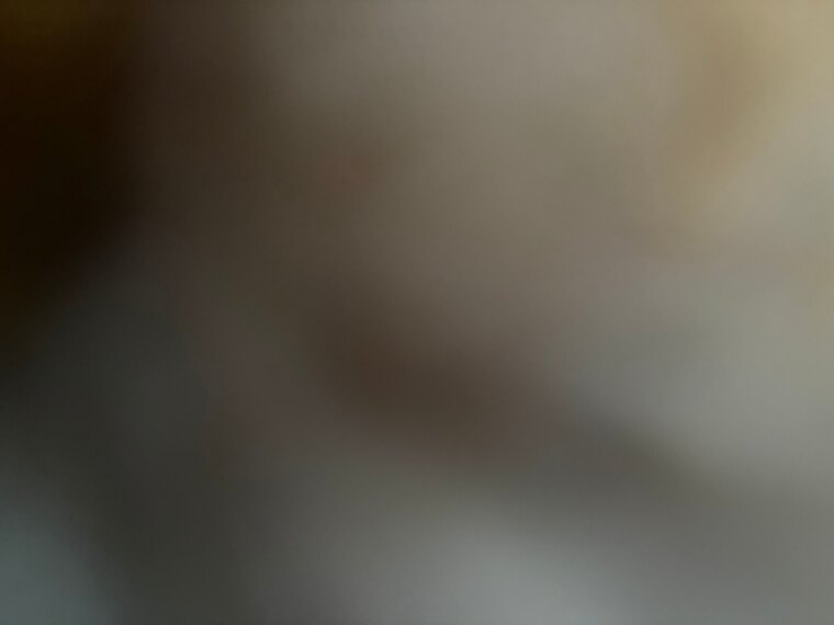 Lil bee banner image