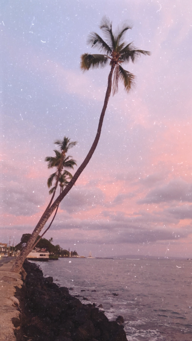 Baby blonde banner image