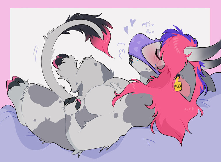 Tash Pup banner image