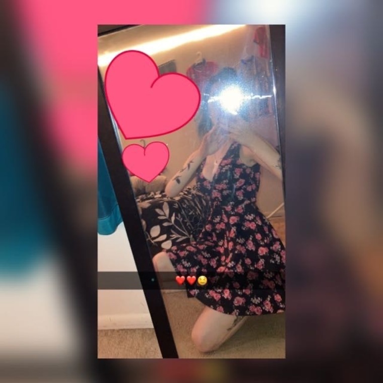 Bunny cover image