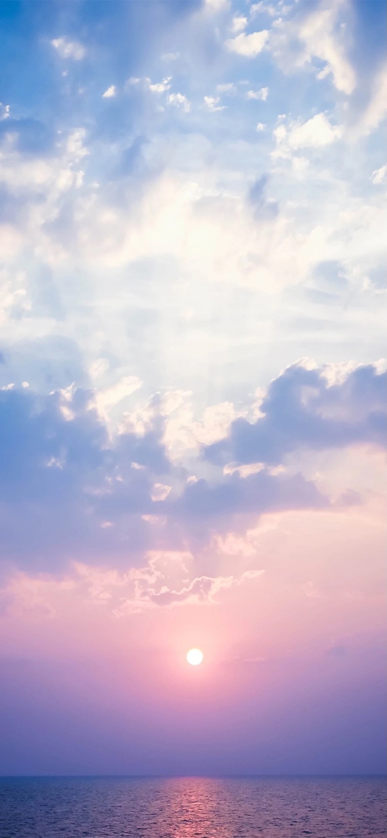 Karen Morales banner image
