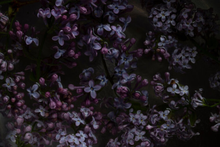 💗 A 💗 cover image