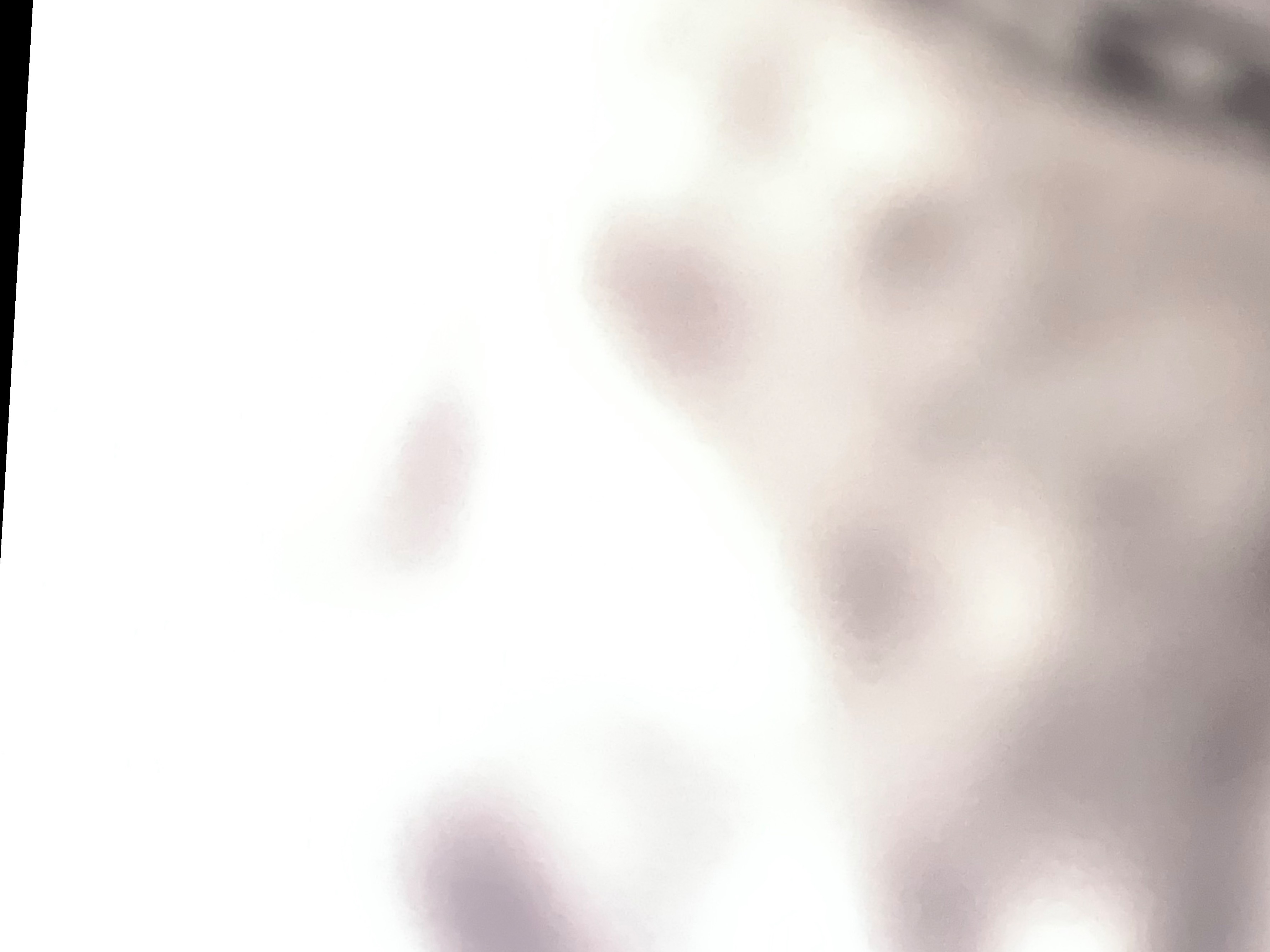 Babydoll2025 banner image