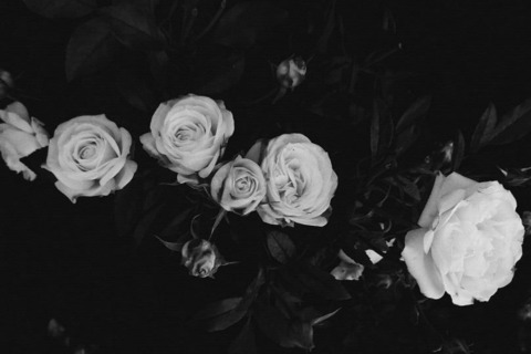 🌜BabyGirl🌛 cover image