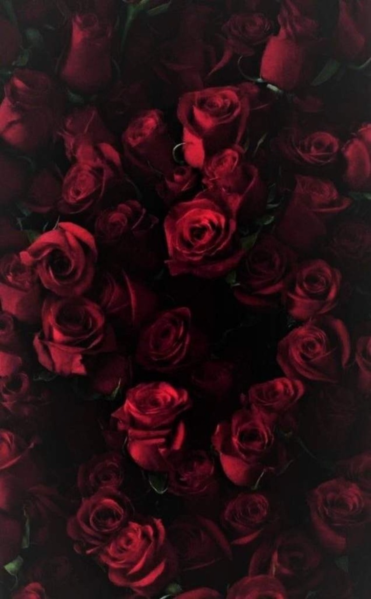 Babygirl242020 cover image