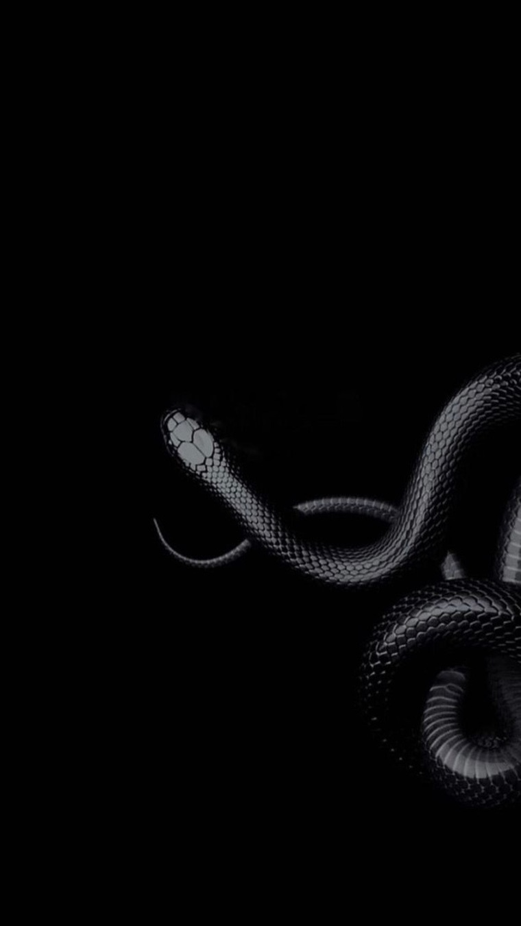 K and L banner image