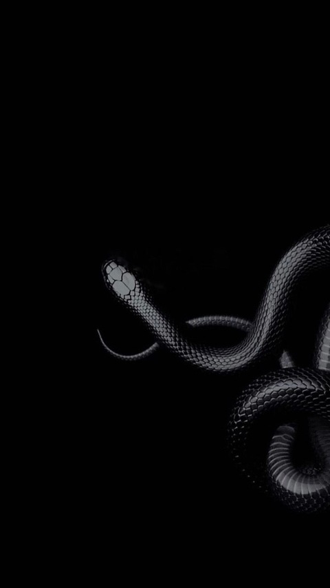 K and L cover image