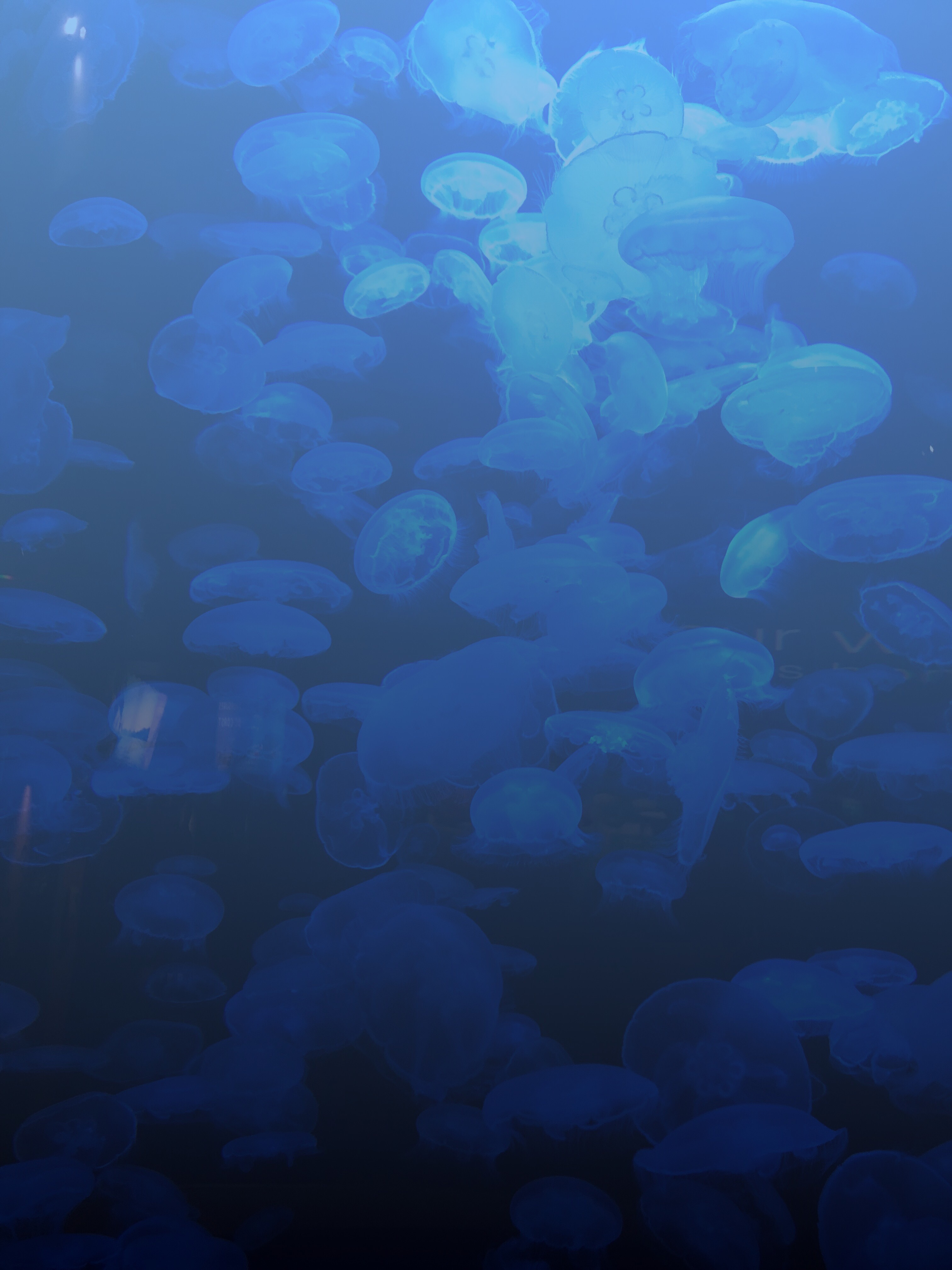Britt banner image