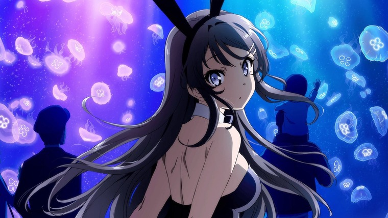 Jiao Jiao ”娇兔“ banner image