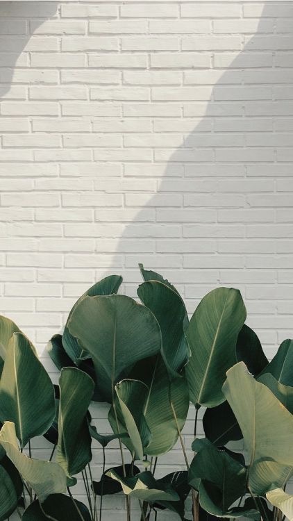 Andrelicious💕 banner image